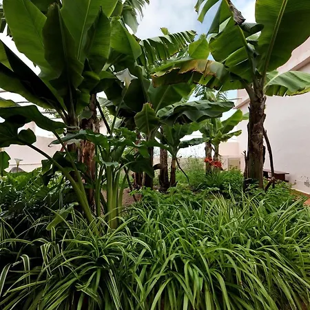 度假居 Santa Barbara 110
